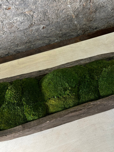 Mokoro Canoe with Preserved Moss Table Display FR56