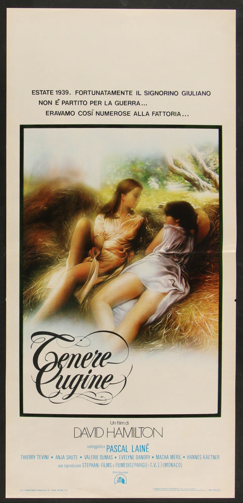 Affiche de film originale italienne de Tender Cousins (1980)