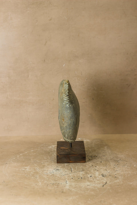 Steinfischskulptur – Simbabwe – 97,1