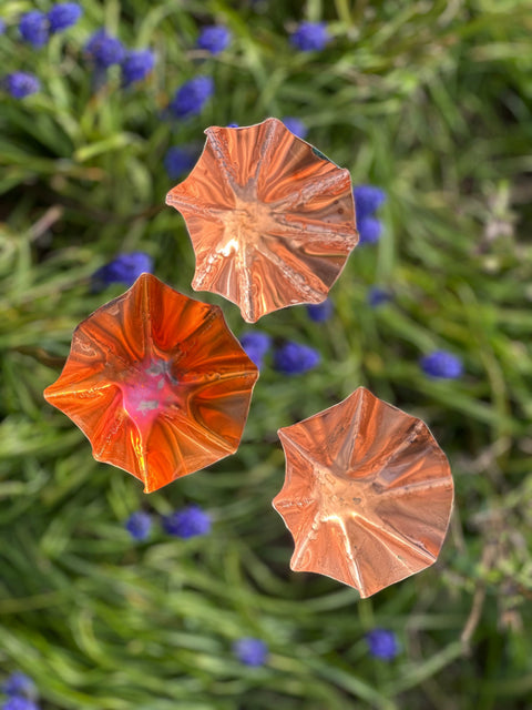 5 x Copper Bee Drinker Bundle