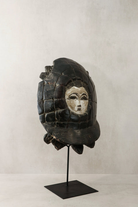 Masque Tortue - 65,2