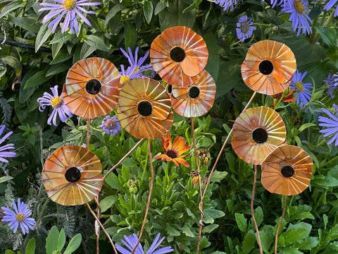Copper Poppy Flower