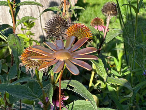 Copper Daisy Flower