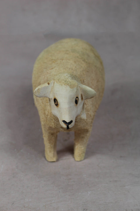 Mouton Swazi 141.1