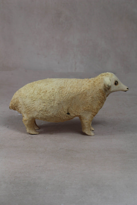 Moutons swazis 141.2
