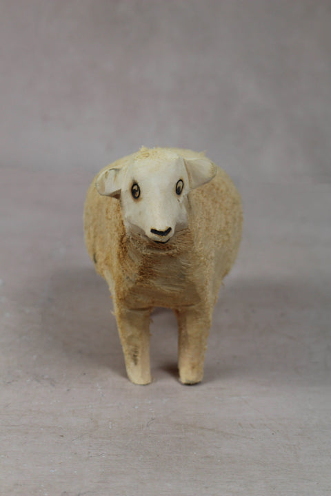 Moutons swazis 141.2