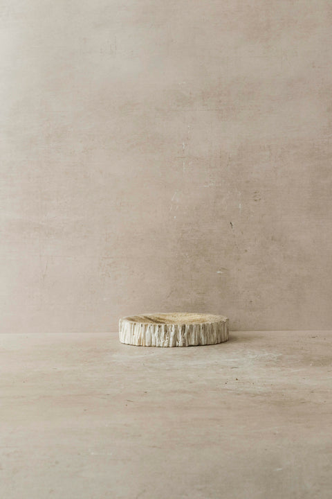 Petrified Wood Tray - 1