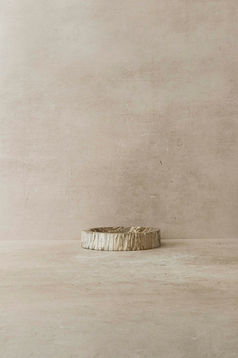 Petrified Wood Tray - 3