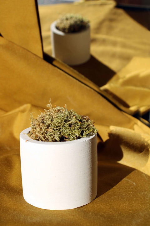 CONCRETE CYLINDER TEALIGHT HOLDER, CONCRETE CYLINDER POT