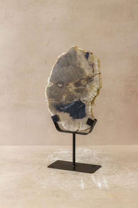 Ausstellungsstück aus versteinertem Holz – Nr. 2