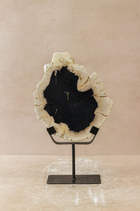 Ausstellungsstück aus versteinertem Holz – Nr. 4