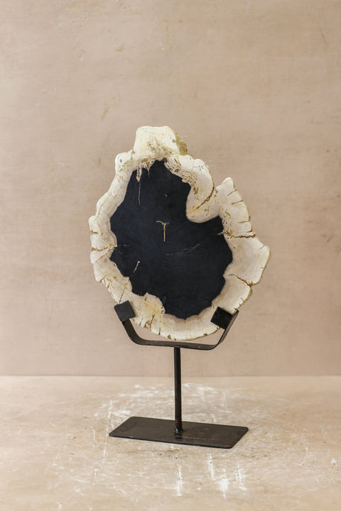 Ausstellungsstück aus versteinertem Holz – Nr. 4