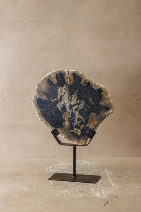 Ausstellung versteinertes Holz – Nr. 6