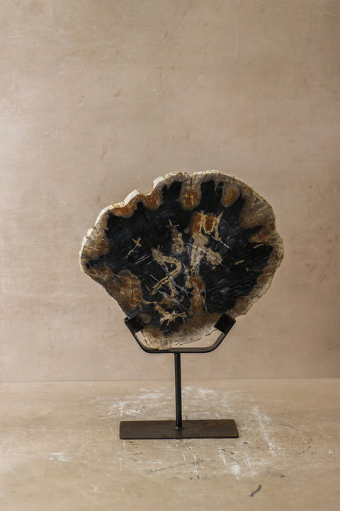 Ausstellung versteinertes Holz – Nr. 6