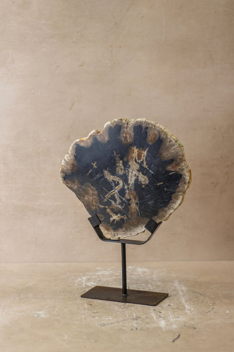 Ausstellung versteinertes Holz – Nr. 6