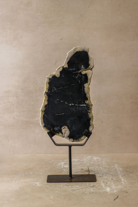 Ausstellung versteinertes Holz – Nr. 8