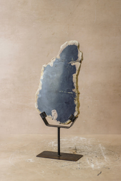 Ausstellung versteinertes Holz – Nr. 8