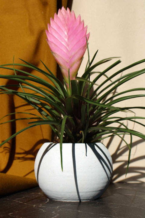 CONCRETE ROUND POT