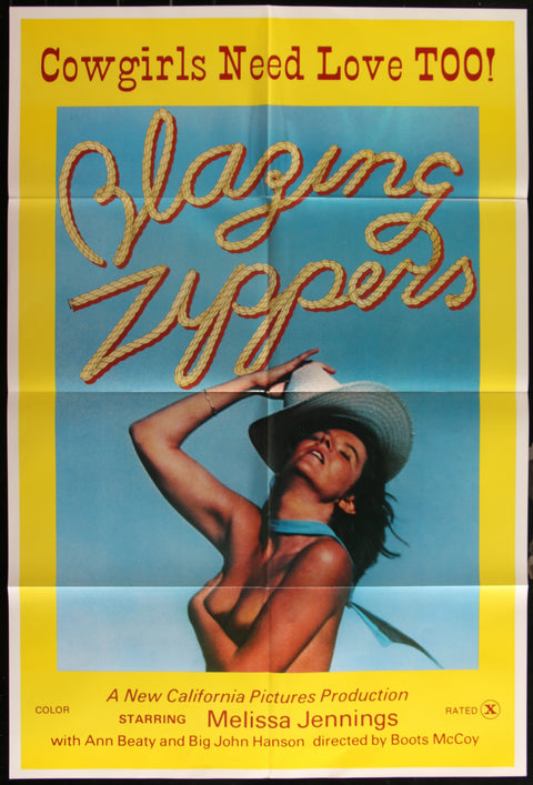 Blazing Zippers (1974) Original US One Sheet Cinema Poster – Vintage Film Art