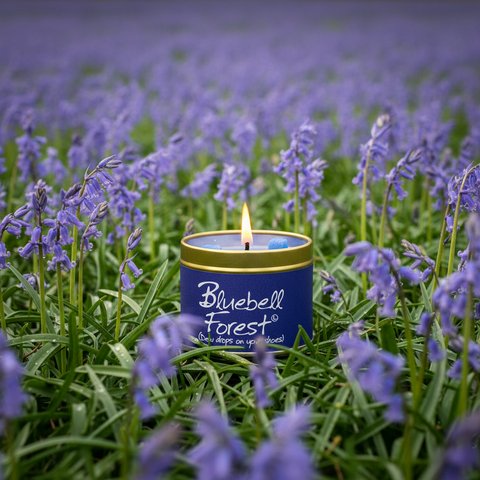 Bluebell Forest Scented Candle