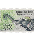 Laos Stamp 1958 0.2 Lao kip Asian Elephant (Elephas maximus)