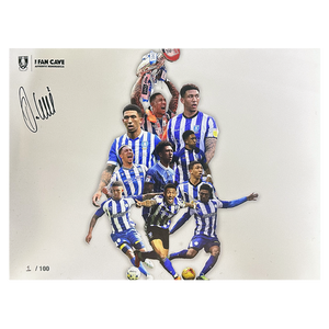 Liam Palmer Signed Limited Edition Sheffield Wednesday Testimonial Print
