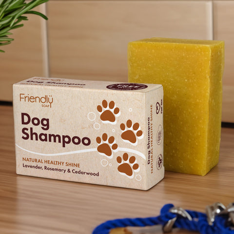 Hundeshampoo