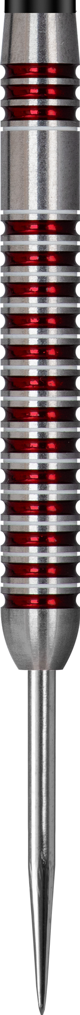 Datadart Martin Adams 95 Legend darts