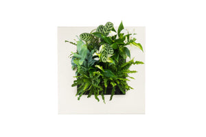 Bamboo Living Wall Picture Frame - Natural