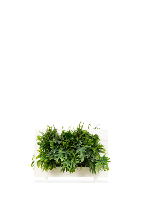 Living Wall Divider - 81cm - White