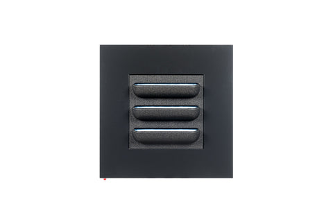 LIVE PICTURE - Living wall frame - 72cm - Black