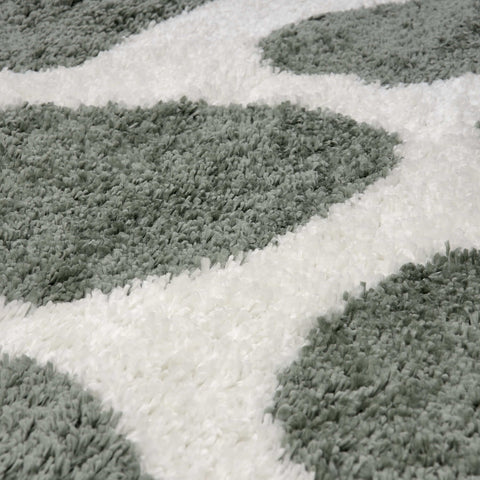 Moodi Shaggy Green Erosan Rug