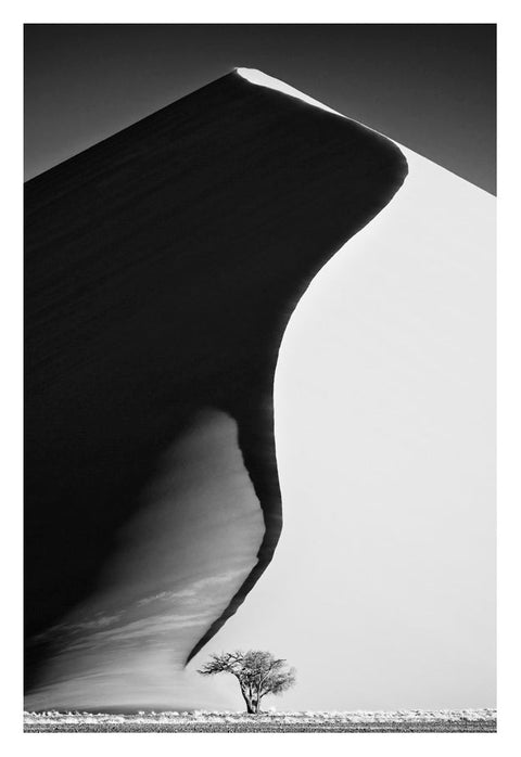 David Ballam - NAM01