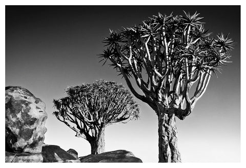 David Ballam - Namibia 17