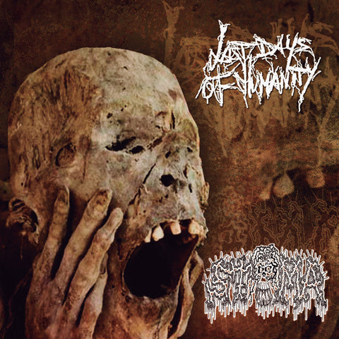 Last Days Of Humanity / Stoma - Split