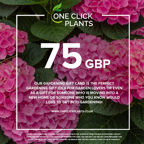 One Click Plants Gardening Gift Card from £25 to £300