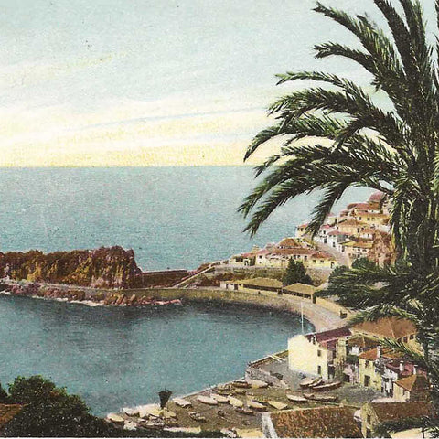 Portugal Island Madeira Ocean View Vintage Postcard