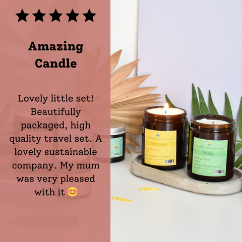 Wildflower Wisp Hand-Poured Coconut Wax Candle | Floral & Natural Aromatherapy | Vegan, Eco-Friendly Candle | 2 Size Options