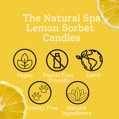 Lemon Sorbet Hand-Poured Coconut Wax Candle | Citrus & Natural Aromatherapy | Vegan, Eco-Friendly Candle | 2 Size Options