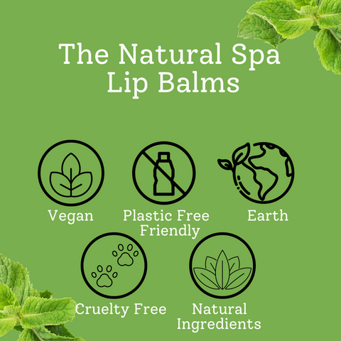 Peppermint Natural Lip Balm | Vegan, Hydrating & Nourishing | Plastic-Free, Handmade Lip Care