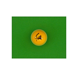 Ronnie O’Sullivan Signed Yellow Ball