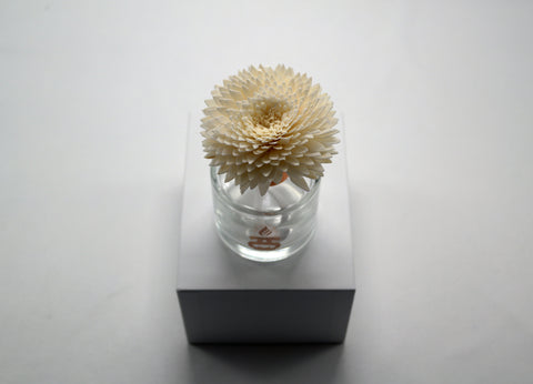 Sola Wood Flower Diffuser Reed With Cotton Wick