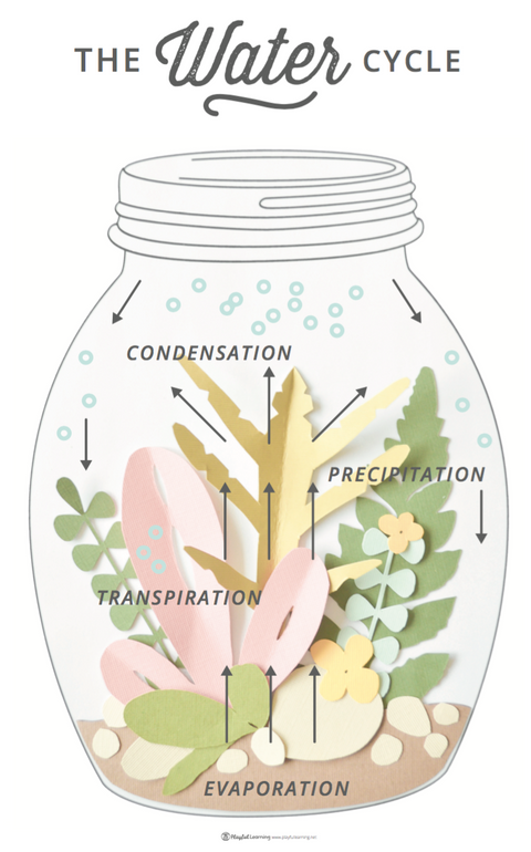 LAB Jar Terrarium Tropical