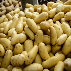 Charlotte-Saatkartoffeln 2 kg