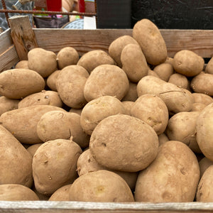 Lady Christl Saatkartoffeln 2 kg