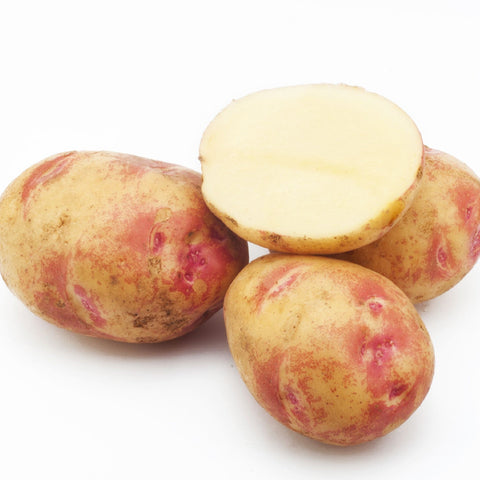Picasso Seed Potatoes 2KG
