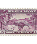 Sierra Leone Stamp George VI 1941 1 and Half Penny Rice Harvesting