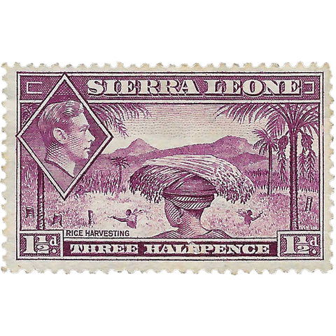 Sierra Leone Stamp George VI 1941 1 and Half Penny Rice Harvesting