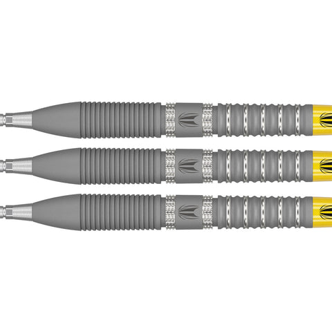 Target Gabriel Clemens G2 90% SP Darts