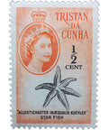Tristan da Cunha 1961 Starfish ½ c - South African Cent Stamp Elizabeth II
